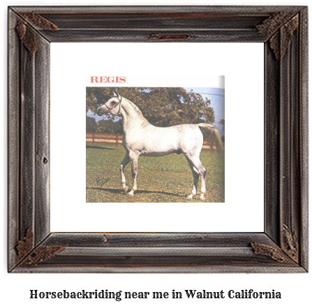 horseback riding near me in Walnut, California